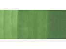 COPIC Marker Sketch 21075205 YG67 - Moss (4511338003602)