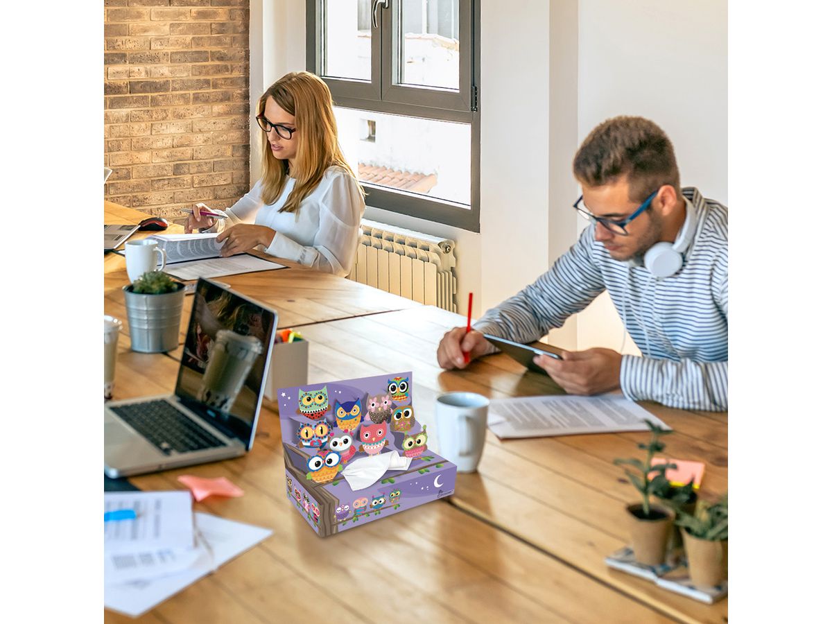 ROOST Taschentuch Box 1376005 Eulen (5430001376005)