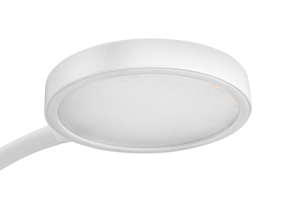 CEP Tischleuchte FLEX CLED-0290Sil Eiche, dimmbar 7W (3462159017013)