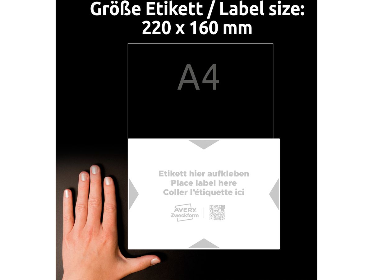 AVERY ZWECKFORM Träger-Etiketten 220x160mm 8003-5 hellgrau 5 Stk./5 Blatt (4004182335000)