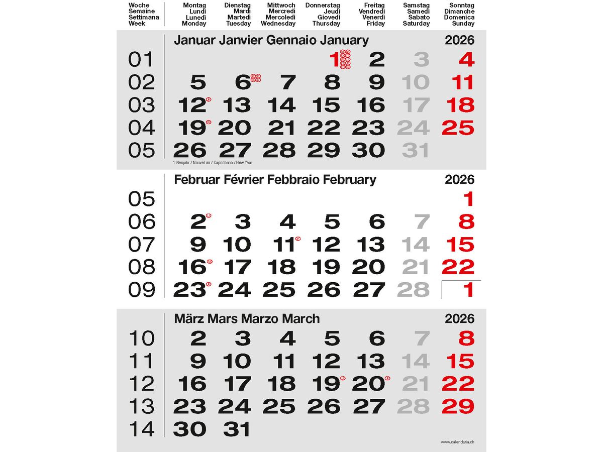 CALENDARIA 3-Monats-Wandkalender 2026 9783036205526 grau 31x40cm (9783036205526)