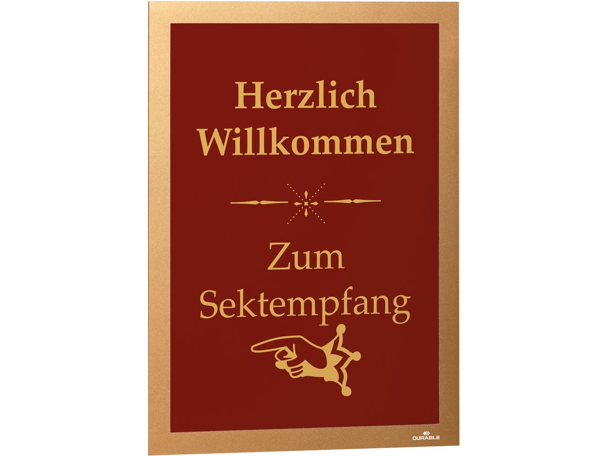 DURABLE Dossier Duraframe 487230 or, autocollant 2 pcs. (4005546405629)