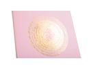 EXACOMPTA Livre d'or Ellipse 27x22cm 47983E rose 100 pages (3130630479833)