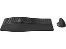 RAPOO 8810M Ergonomic Deskset 13115 Wireless, Grey (6940056131157)
