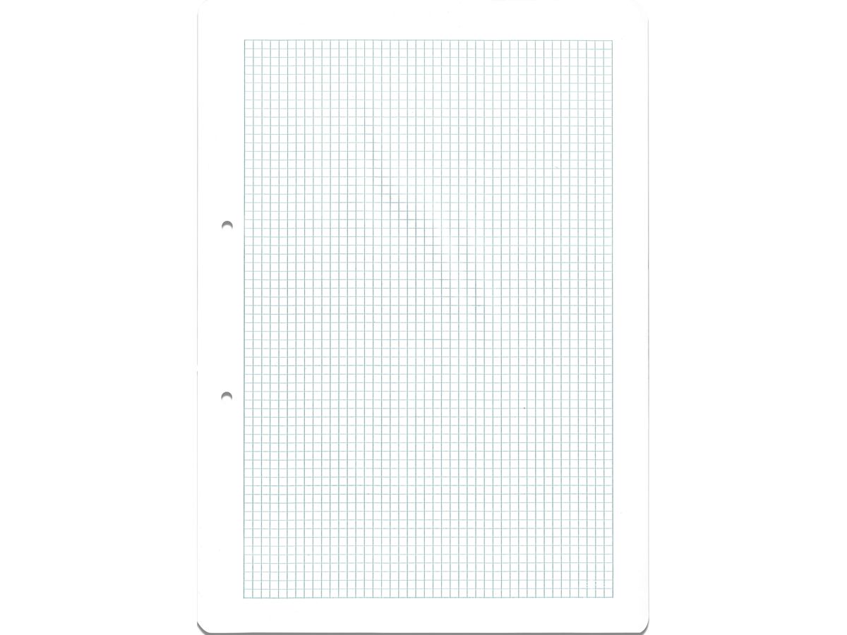 NEUTRAL Ringbucheinlagen A4 TESSIN kariert, 4mm, 90g 100 Blatt (7612532044839)