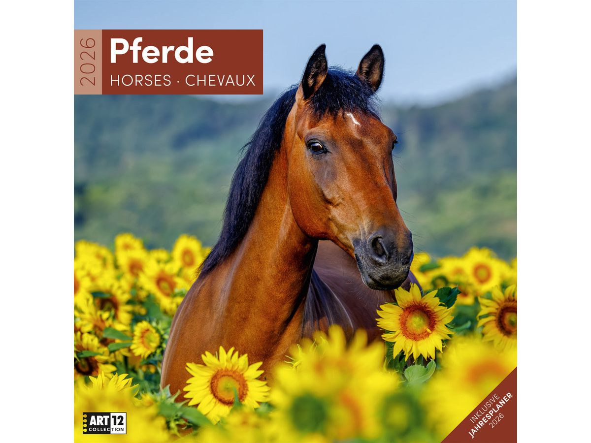 ACKERMANN Calendrier 2026 4621 Pferde ML 30x30cm (9783838446219)