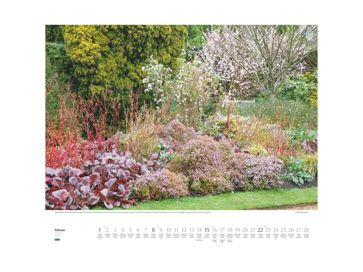 DUMONT Calendrier 2026 260375 Beaux jardins ML 52x42.5cm (4069095003750)