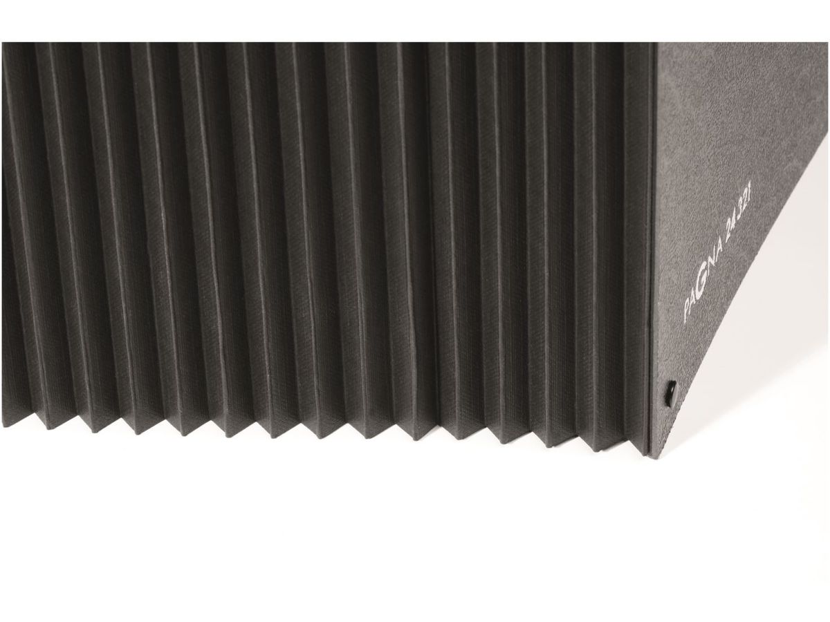 PAGNA Vorordner A4 24321-04 schwarz 1-31 (4013951002074)