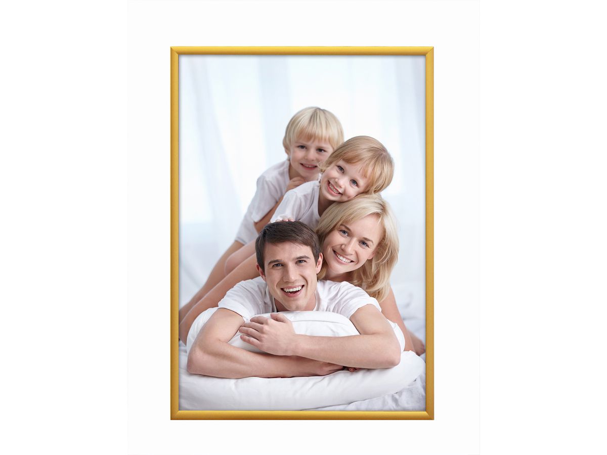 DEBEX Wechselrahmen 21x29,7cm 904301-210X2 Alu gold (7611195404189)