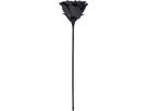 EGLO Kunstblume MOLAVE 428131 schwarz (9008606279036)