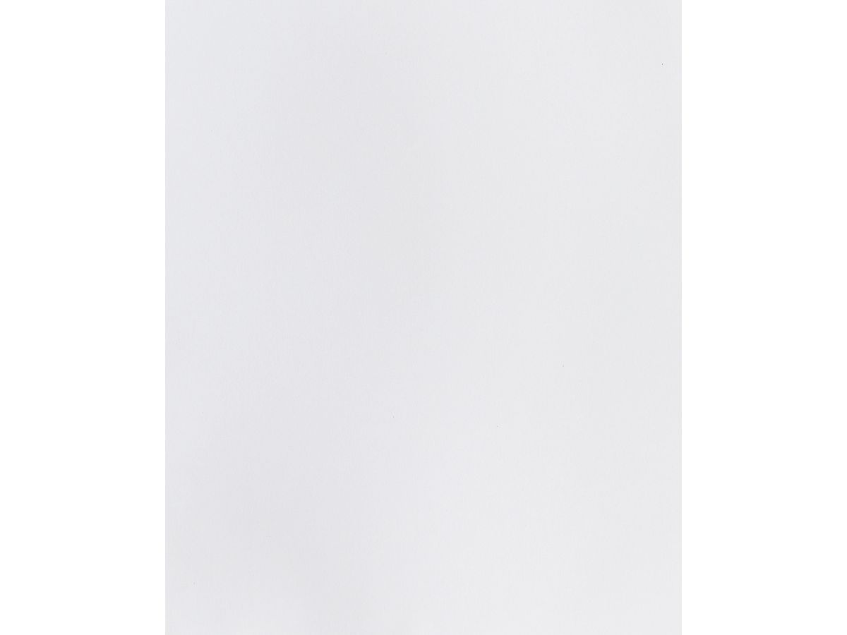 I AM CREATIVE Cartone per foto A4 2903018300 270g, bianco brillante (8714677254537)