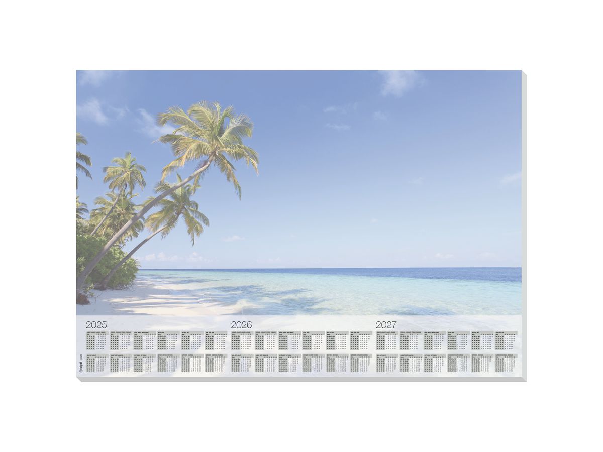 SIGEL Sottomano 595x410mm HO470 carta calendario, 3 anni (4004360841323)