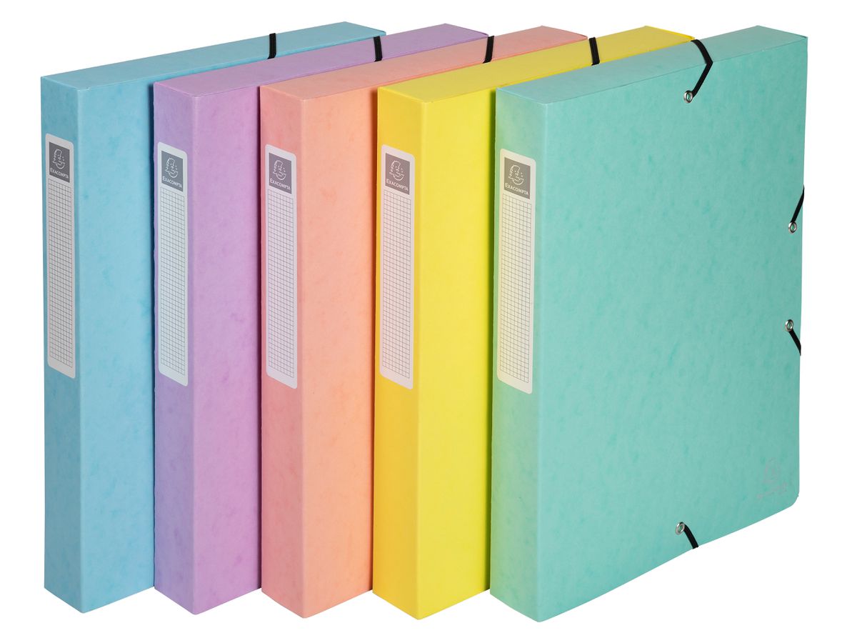 EXACOMPTA Sammelbox Aquarel A4 59570E ass., Manila 60mm (3130630595700)