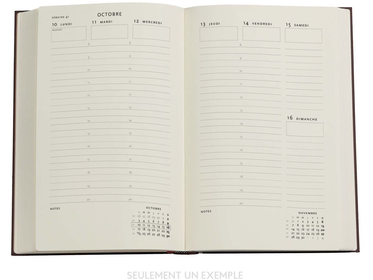 PAPERBLANKS Agenda Trop. Garten Maxi 25/26 FD0670-2 1W/2S 18M DE VER SC 13.5x21cm (9780349706702)