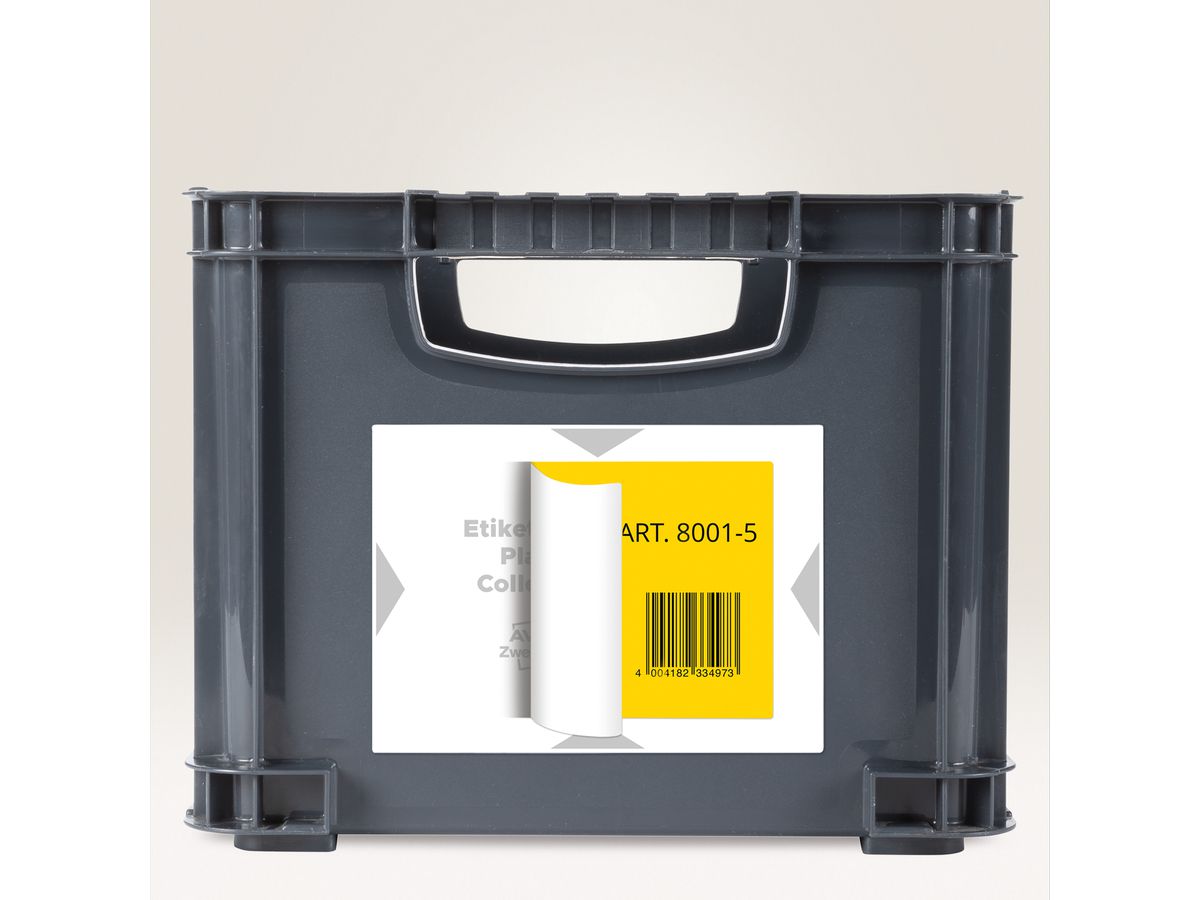 AVERY ZWECKFORM Etichette vettore 120x80mm 8001-20 grigio chiaro 80 pz./20 fogli (4004182334980)