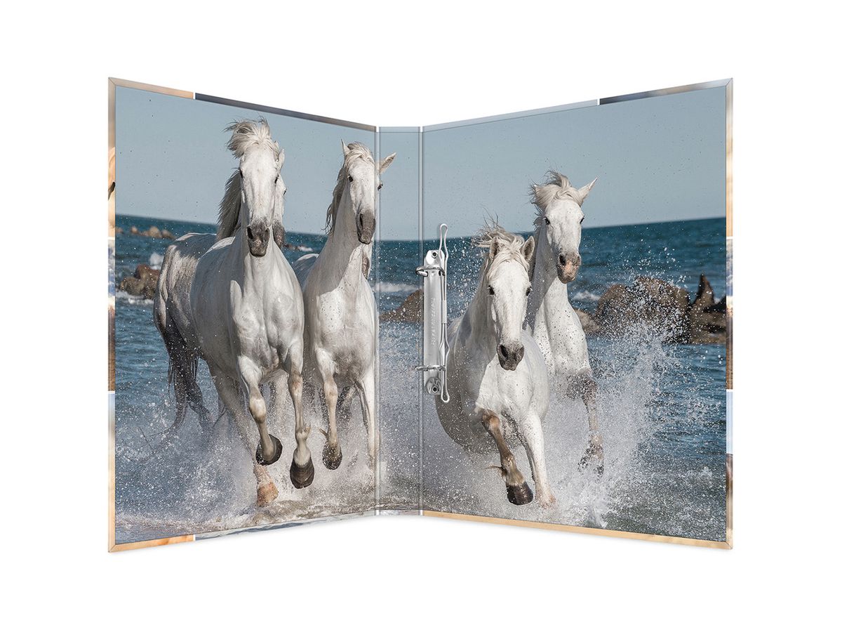 HERMA Ringbuch A4 Karton 19429 2D Pferde (4008705194297)