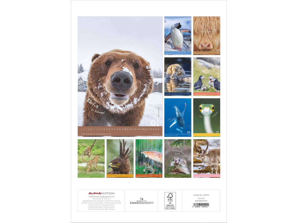 ALPHA EDITION Calendario 2026 160492 Tierisch cool! DE 23.7x34cm (4069095004924)