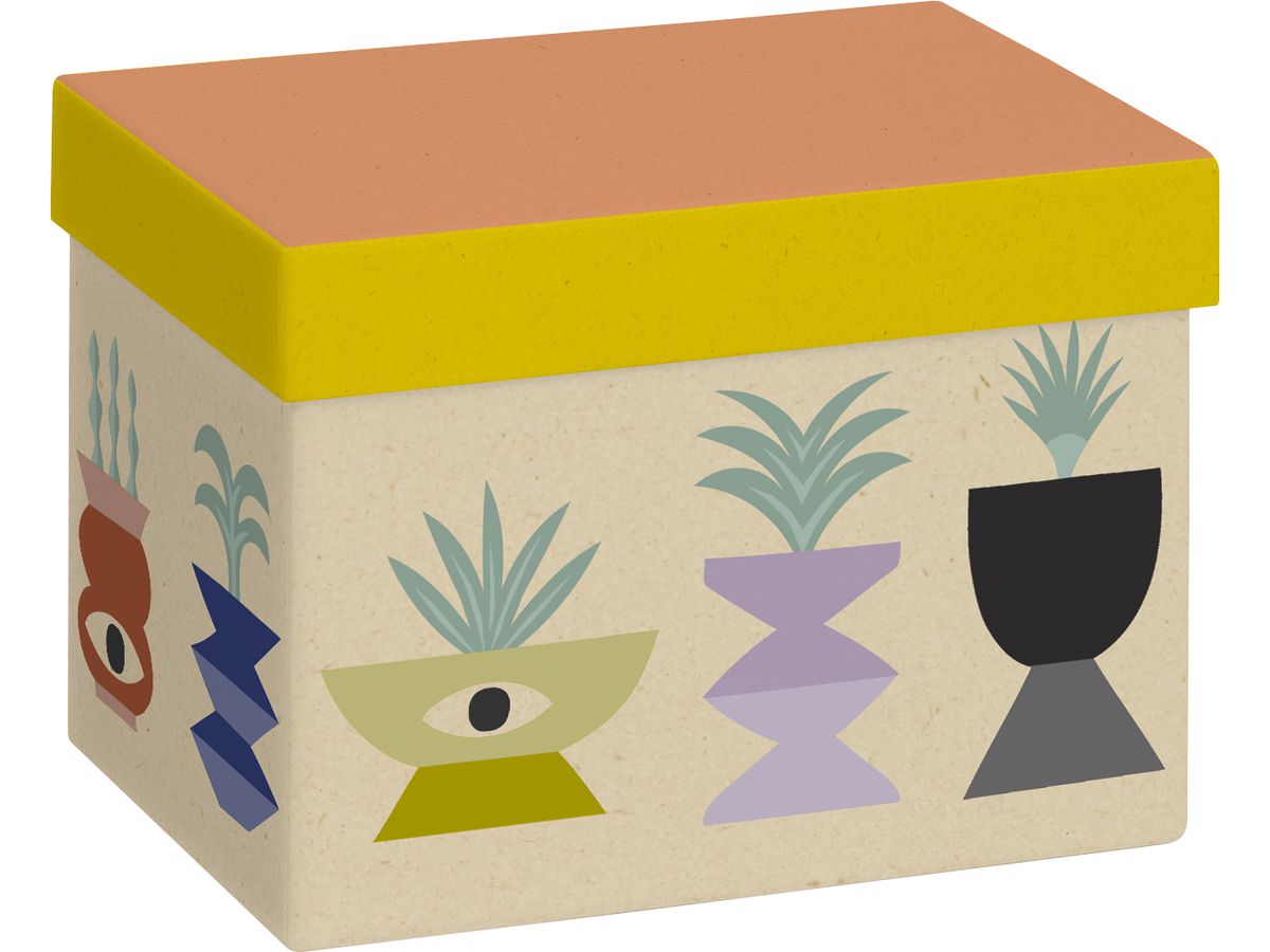 STEWO Coffret cadeau Shani 2551520996 vert 12x16.5x12cm (7630050882023)