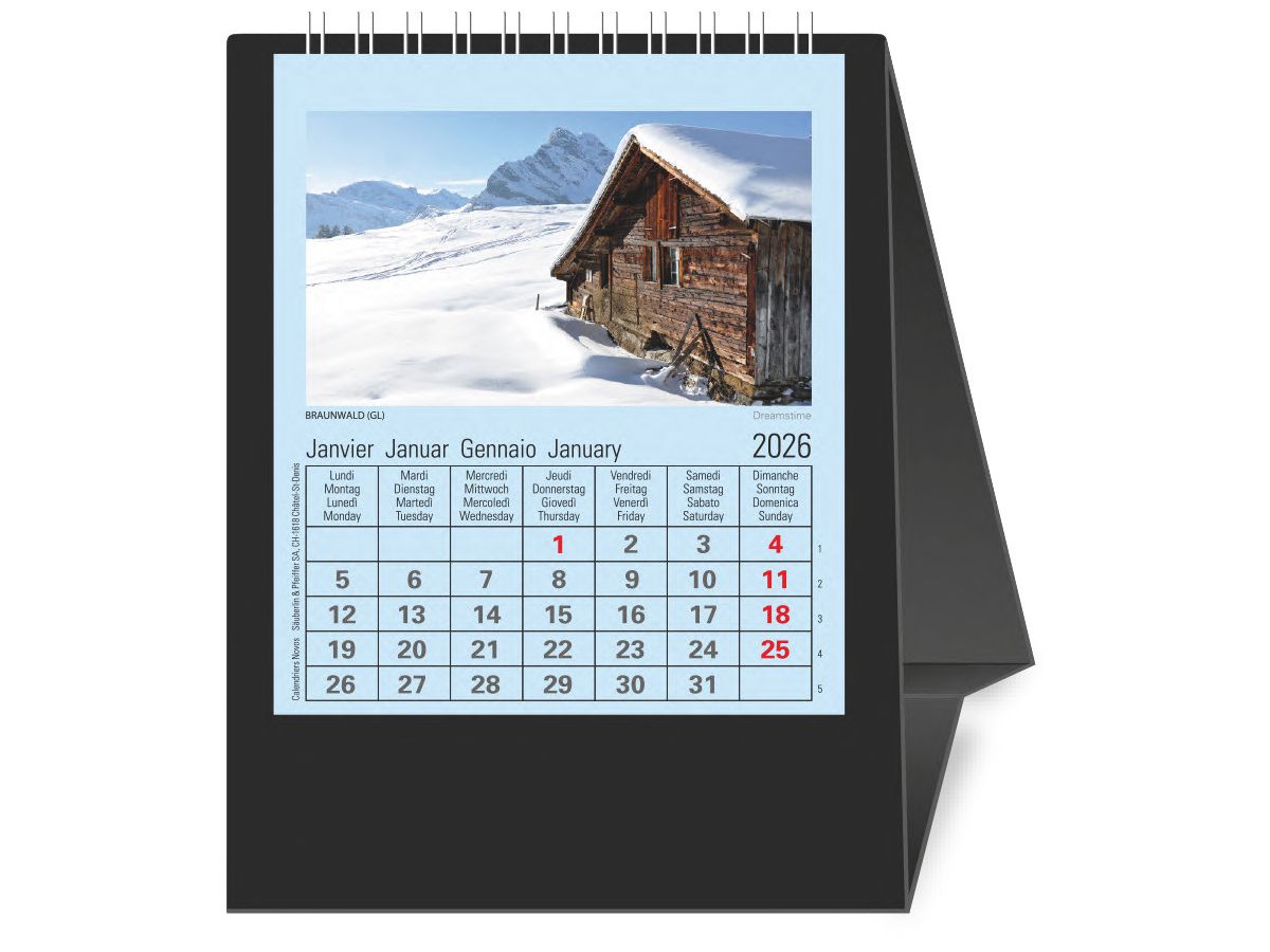 NOVOS Tischkalender Natura 2026 997052 1M/1S schwarz ML 11.5x14cm (9771662997052)