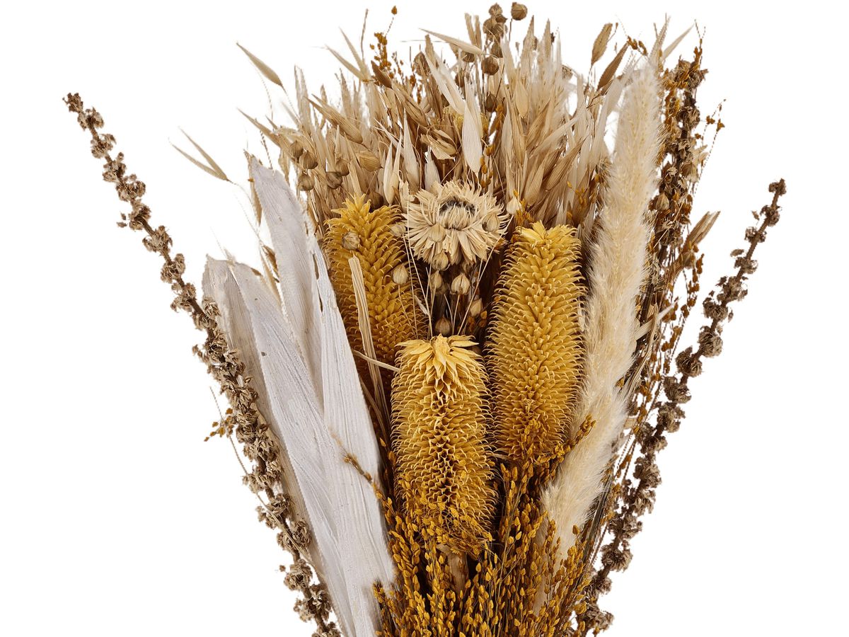 EGLO Fiori secchi CARAQUET 55cm 428088 marrone, bouquet (9008606266951)