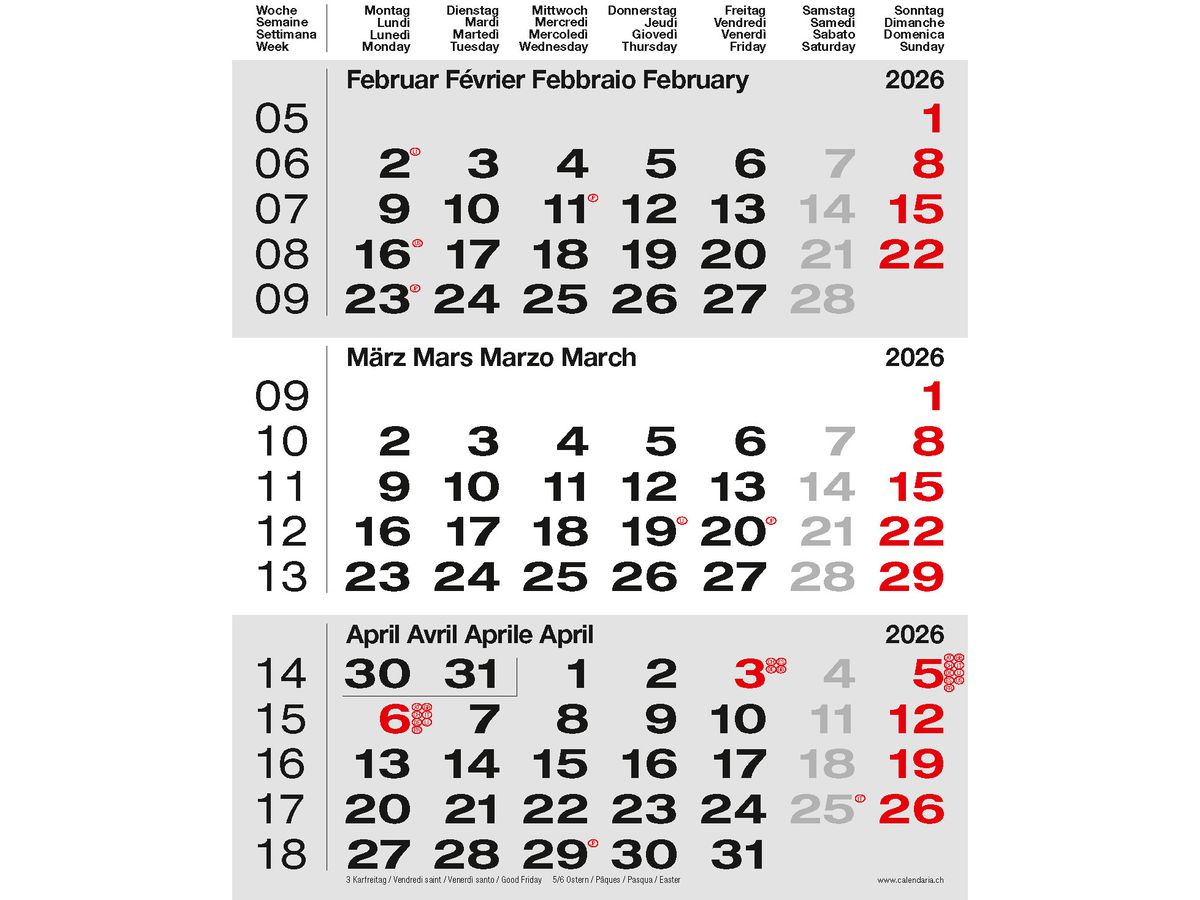 CALENDARIA 3-Monats-Wandkalender 2026 9783036205526 grau 31x40cm (9783036205526)