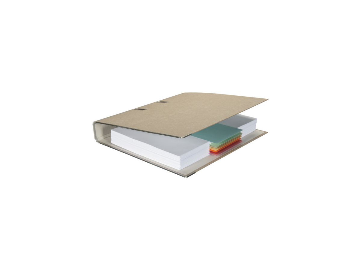 BIELLA Trennstreifen Karton 2 Loch 19919030U grün, 24x10.5cm 100 Stk. (7611365357475)