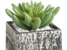 EGLO Plante artificielle 12cm 428007 vert, en pot (9008606253272)