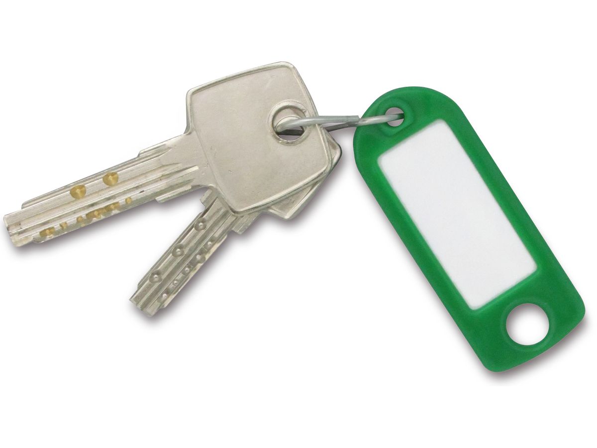 RIEFFEL SWITZERLAND Schlüssel-Anhänger 8034 FS GRÜN grün 100 Stück (7640115312020)