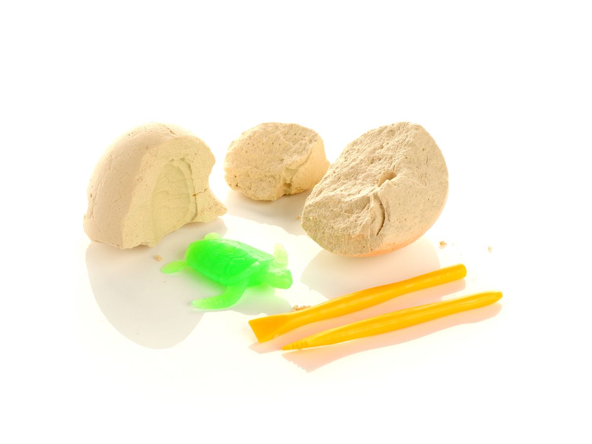 ROOST Dig it out Meereschildkröte TY773 Ausgrabungsset 7.5x5x5cm (5055071766602)