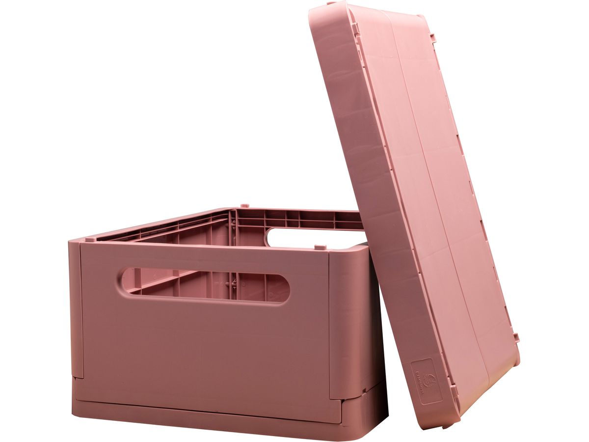 EXACOMPTA Box pieghevole Skandi A4+ 27238D Maxi rosa scuro 375x40x275mm (9002493272385)