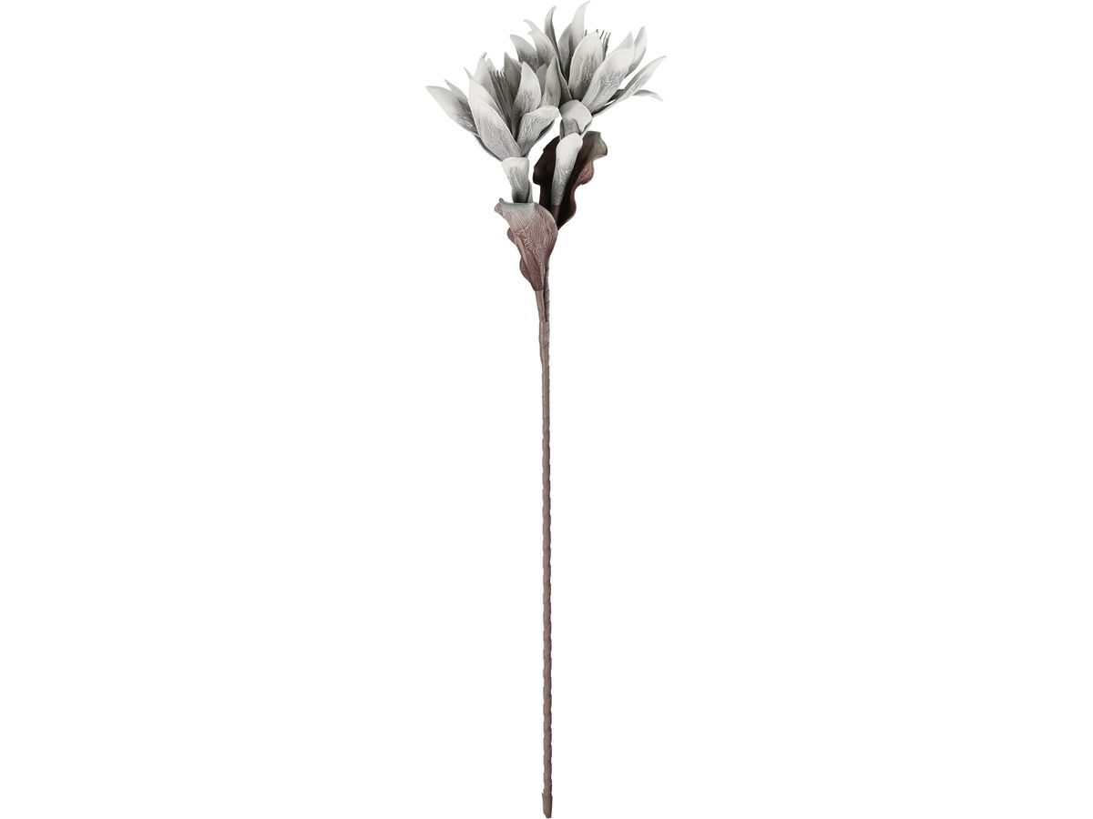 EGLO Kunstblume MOLAVE 428123 grau (9008606278961)