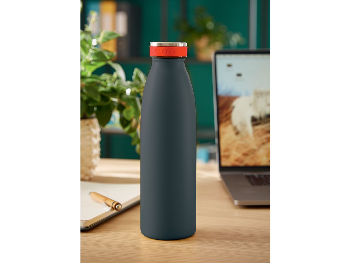 LEITZ Trinkflasche Cosy 500ml 9016-00-89 grau, Edelstahl (4002432124732)