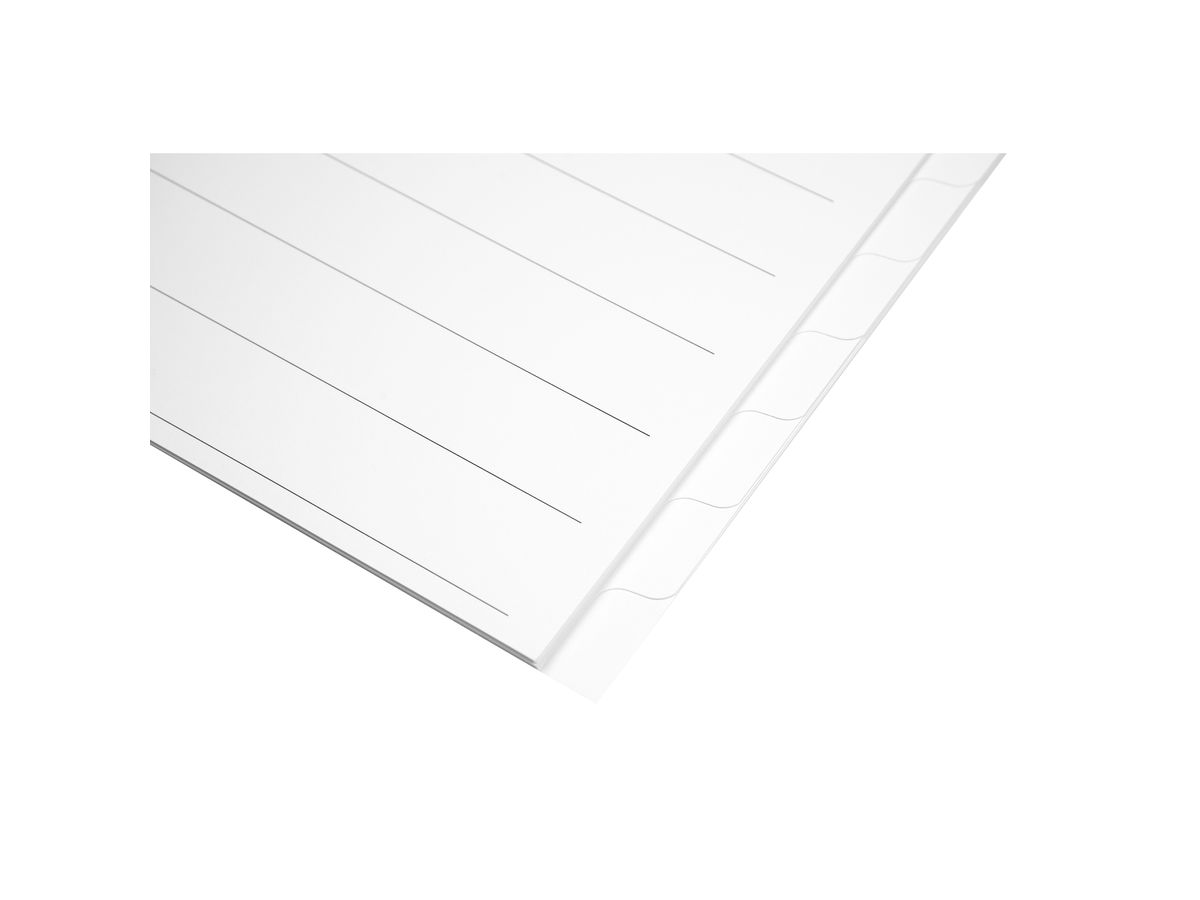 BIELLA Répertoires carton A4 46541201U blanc 12 pcs. (7611365322909)