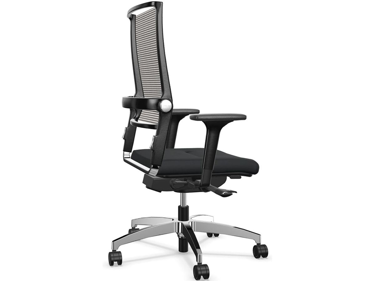 DAUPHIN Bürodrehstuhl Lordo Flex 781.13 grau/schwarz (7630006769095)