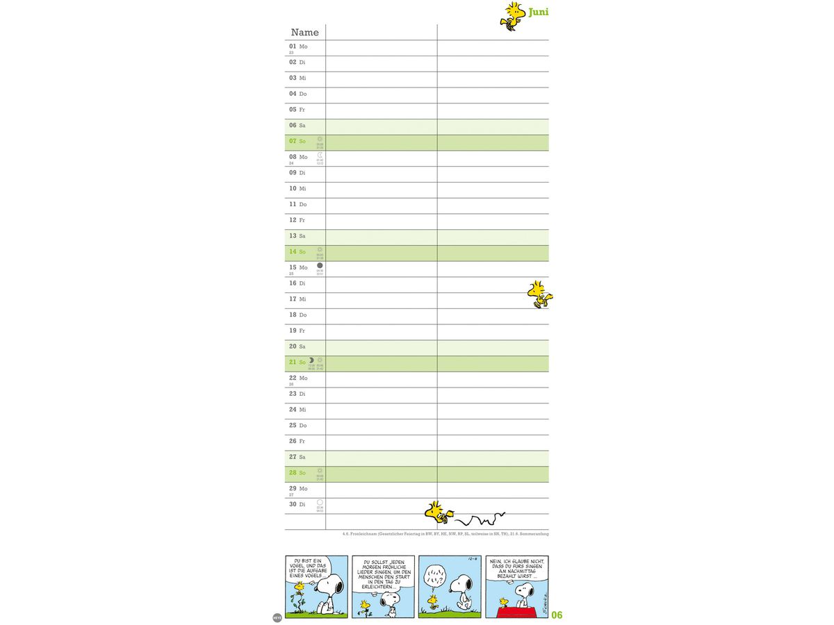 HEYE Planer für zwei Peanuts 2026 21302+26 1M/1S DE 2 Spalten 16x34.7cm (9783756410293)