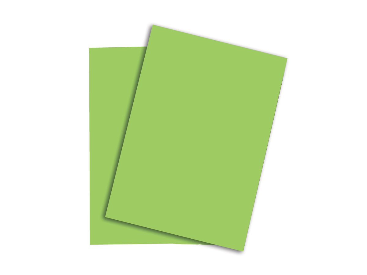 PAPYRUS Rainbow Paper FSC A4 88043112 120g, verde 250 fogli (7318761043550)