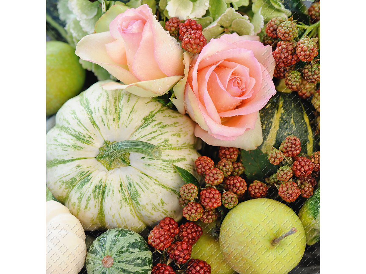 STEWO Salviette 33x33cm 2572681045 Gerda FSC g 20 pezzi (7630021164257)