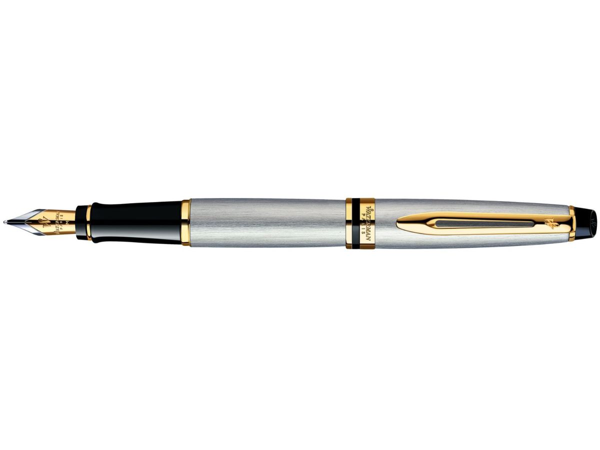 WATERMAN Stylo plume F S0951940 EXPERT Metalic black (3501170951941)