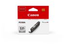 CANON Tintenpatrone grau 6122C001 Pixma TS8750 8.2ml (4549292218312)